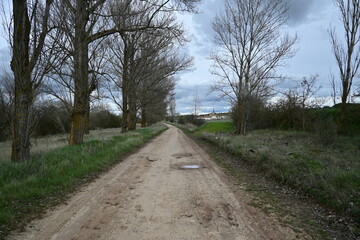 Castilian landscape with road