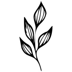 Hand drawn leaves line linear black Strock Symbol visual illustration Plant nature hand drawn set. Collection botanical element Elegante vintage style