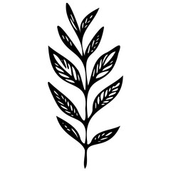 Fototapeta premium Hand drawn leaves line linear black Strock Symbol visual illustration Plant nature hand drawn set. Collection botanical element Elegante vintage style