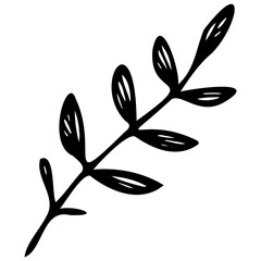 Hand drawn winter leaves and branches. Floral twig, botanical branch with berry and leaf doodle. Plant leaf feather and fir tree branches element. Isolated vector icons