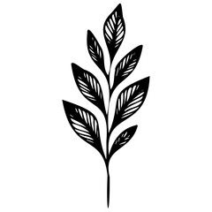 Hand drawn winter leaves and branches. Floral twig, botanical branch with berry and leaf doodle. Plant leaf feather and fir tree branches element. Isolated vector icons
