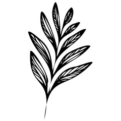 Hand drawn winter leaves and branches. Floral twig, botanical branch with berry and leaf doodle. Plant leaf feather and fir tree branches element. Isolated vector icons