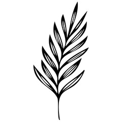 Hand drawn winter leaves and branches. Floral twig, botanical branch with berry and leaf doodle. Plant leaf feather and fir tree branches element. Isolated vector icons