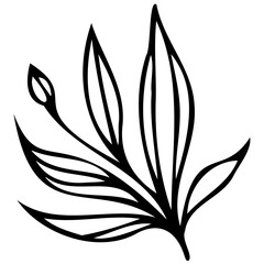 Hand drawn winter leaves and branches. Floral twig, botanical branch with berry and leaf doodle. Plant leaf feather and fir tree branches element. Isolated vector icons