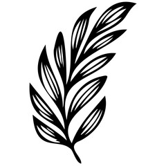 Hand drawn winter leaves and branches. Floral twig, botanical branch with berry and leaf doodle. Plant leaf feather and fir tree branches element. Isolated vector icons