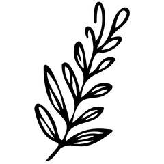 Hand drawn leaves line linear black Strock Symbol visual illustration Leaves doodle Collection of pencil chalk hand drawn templates sketches patterns of different shape tree foliage 