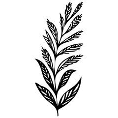 Hand drawn leaves line linear black Strock Symbol visual illustration Leaves doodle Collection of pencil chalk hand drawn templates sketches patterns of different shape tree foliage 