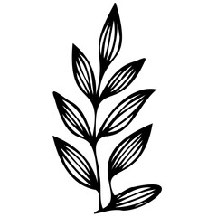 Hand drawn leaves line linear black Strock Symbol visual illustration Leaves doodle Collection of pencil chalk hand drawn templates sketches patterns of different shape tree foliage 