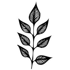 Hand drawn leaves line linear black Strock Symbol visual illustration Leaves doodle Collection of pencil chalk hand drawn templates sketches patterns of different shape tree foliage 