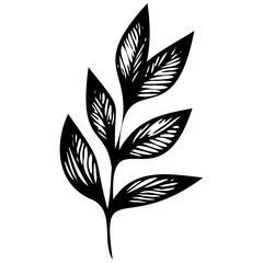 Hand drawn leaves line linear black Strock Symbol visual illustration Leaves doodle Collection of pencil chalk hand drawn templates sketches patterns of different shape tree foliage 