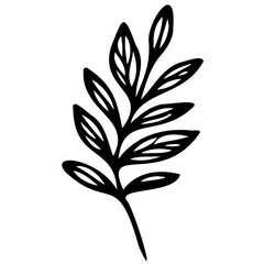 Hand drawn leaves line linear black Strock Symbol visual illustration Leaves doodle Collection of pencil chalk hand drawn templates sketches patterns of different shape tree foliage 