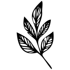 Hand drawn leaves line linear black Strock Symbol visual illustration Leaves doodle Collection of pencil chalk hand drawn templates sketches patterns of different shape tree foliage 