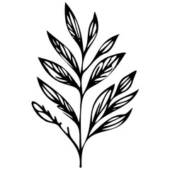 Hand drawn leaves line linear black Strock Symbol visual illustration, handmade leaves - herbs and leaf branches with leaves and flowers vector icon