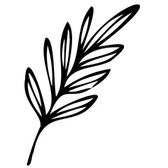 Hand drawn leaves line linear black Strock Symbol visual illustration, handmade leaves - herbs and leaf branches with leaves and flowers vector icon
