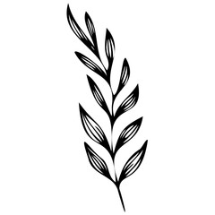 Hand drawn leaves line linear black Strock Symbol visual illustration, handmade leaves - herbs and leaf branches with leaves and flowers vector icon