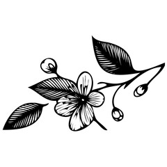 Hand drawn leaves line linear black Strock Symbol visual illustration, handmade leaves - herbs and leaf branches with leaves and flowers vector icon