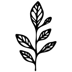 Hand drawn leaves line linear black Strock Symbol visual illustration, handmade leaves - herbs and leaf branches with leaves and flowers vector icon