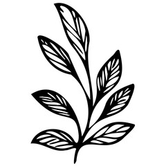 Hand drawn leaves line linear black Strock Symbol visual illustration, handmade leaves - herbs and leaf branches with leaves and flowers vector icon