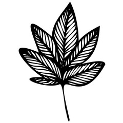 Hand drawn leaves line linear black Strock Symbol visual illustration, handmade leaves - herbs and leaf branches with leaves and flowers vector icon