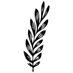 Hand drawn leaves line linear black Strock Symbol visual illustration, handmade leaves - herbs and leaf branches with leaves and flowers vector icon