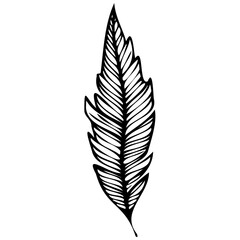 Hand drawn leaves line linear black Strock Symbol visual illustration, handmade leaves - herbs and leaf branches with leaves and flowers vector icon