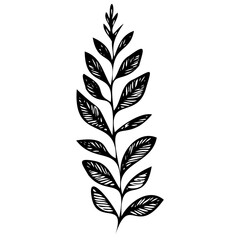 Fototapeta premium Hand drawn leaves line linear black Strock Symbol visual illustration Plant nature hand drawn set. Collection botanical element. Elegante vintage style
