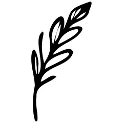 Hand drawn leaves line linear black Strock Symbol visual illustration Plant nature hand drawn set. Collection botanical element. Elegante vintage style