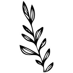 Hand drawn leaves line linear black strock Symbol visual illustration branch and leaves collection. Floral hand drawn vintage set. Sketch line art illustration. Element design