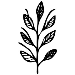 Hand drawn leaves line linear black strock Symbol visual illustration branch and leaves collection. Floral hand drawn vintage set. Sketch line art illustration. Element design