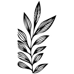 Hand drawn leaves line linear black strock Symbol visual illustration branch and leaves collection. Floral hand drawn vintage set. Sketch line art illustration. Element design