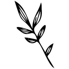 Hand drawn leaves line linear black strock Symbol visual illustration branch and leaves collection. Floral hand drawn vintage set. Sketch line art illustration. Element design