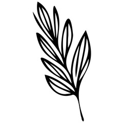 Obraz premium Hand drawn leaves line linear black strock Symbol visual illustration branch and leaves collection. Floral hand drawn vintage set. Sketch line art illustration. Element design