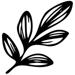 Hand drawn leaves line linear black strock Symbol visual illustration branch and leaves collection. Floral hand drawn vintage set. Sketch line art illustration. Element design