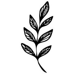 Hand drawn leaves line linear black strock Symbol visual illustration branch and leaves collection. Floral hand drawn vintage set. Sketch line art illustration. Element design