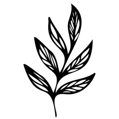 Hand drawn leaves line linear black strock Symbol visual illustration branch and leaves collection. Floral hand drawn vintage set. Sketch line art illustration. Element design