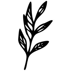 Hand drawn leaves line linear black strock Symbol visual illustration branch and leaves collection. Floral hand drawn vintage set. Sketch line art illustration. Element design
