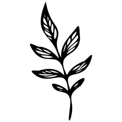 Hand drawn leaves line linear black strock Symbol visual illustration branch and leaves collection. Floral hand drawn vintage set. Sketch line art illustration. Element design