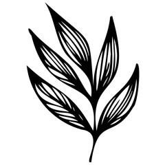 Hand drawn leaves line linear black strock Symbol visual illustration branch and leaves collection. Floral hand drawn vintage set. Sketch line art illustration. Element design