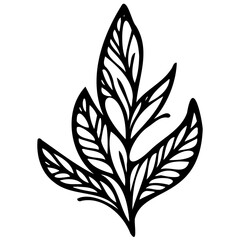 Hand drawn leaves line linear black strock Symbol visual illustration branch and leaves collection. Floral hand drawn vintage set. Sketch line art illustration. Element design