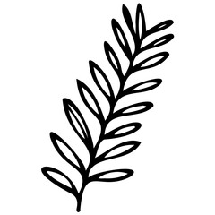 Fototapeta na wymiar Hand drawn leaves line linear black strock Symbol visual illustration