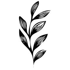 Hand drawn leaves line linear black strock Symbol visual illustration