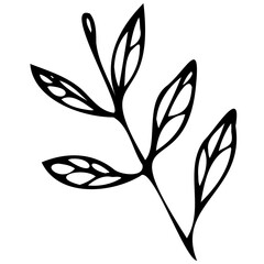 Hand drawn leaves line linear black strock Symbol visual illustration