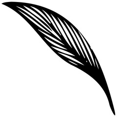 Hand drawn leaves line linear black strock Symbol visual illustration