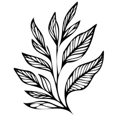 Hand drawn leaves line linear black strock Symbol visual illustration