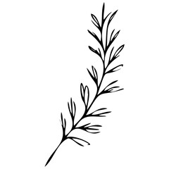 Hand drawn leaves line linear black strock Symbol visual illustration