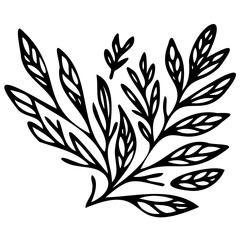 Hand drawn leaves line linear black strock Symbol visual illustration