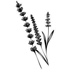 Hand drawn leaves line linear black strock Symbol visual illustration