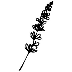 Hand drawn leaves line linear black strock Symbol visual illustration