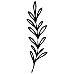 Hand drawn leaves line linear black strock Symbol visual illustration