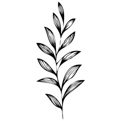 Hand drawn leaves line Symbol visual illustration Tropical Leaves in doodle style. Vector hand drawn black line design elements. Exotic summer botanical illustrations. Monstera leaves, palm leaves